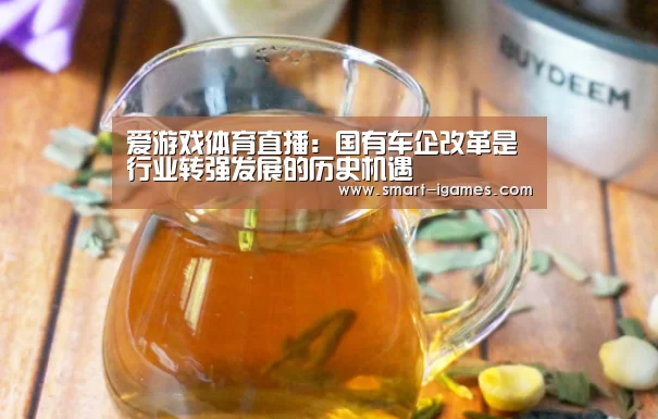 足球即时比分