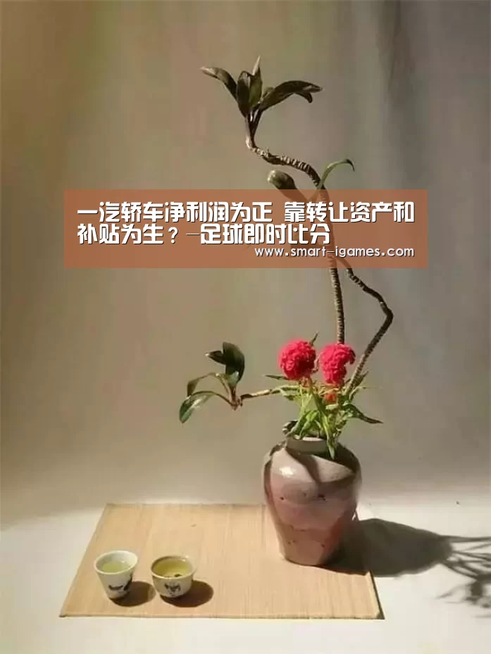 一汽轿车净利润为正 靠转让资产和补贴为生?-足球即时比分(图4) 足球即时比分