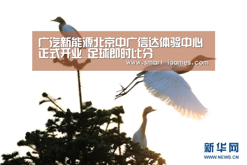广汽新能源北京中广信达体验中心正式开业_足球即时比分(图2) 爱游戏体育