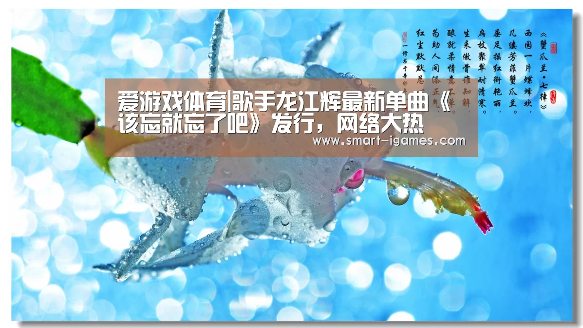 足球即时比分