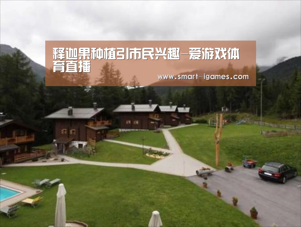足球即时比分