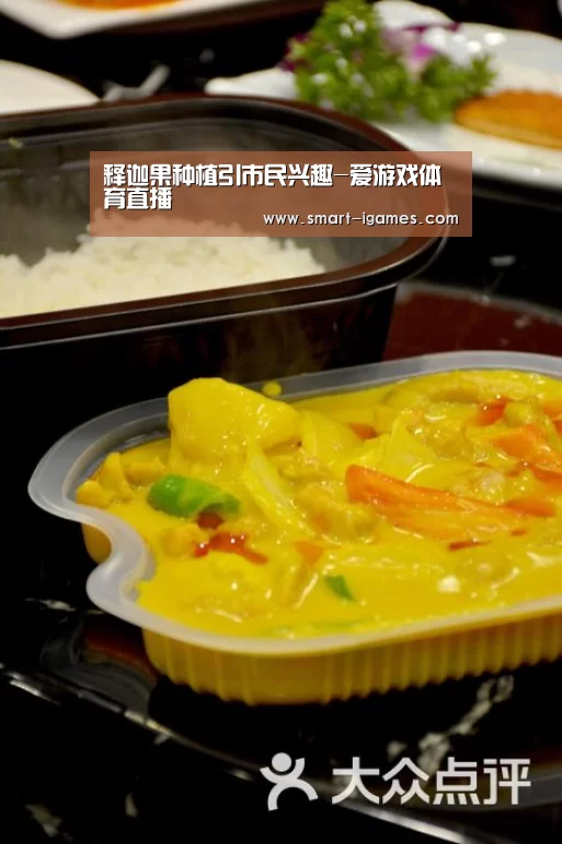 足球即时比分